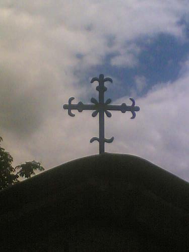 ����������� ���� 2010